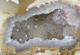 Agatized Fossil Coral Geode - Florida #51171-1